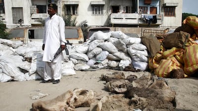 A Pakistan security official stands beside confiscated sacks of donkey skins, in Karachi, Pakistan, on April 27, 2017. Shahzaib Akber / EPA
