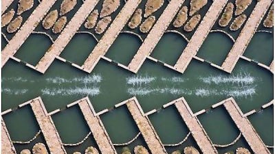 Aerial view of bioremediation facility, showing head pool aeration and biocells. Courtesy Arriyadh Development Authority