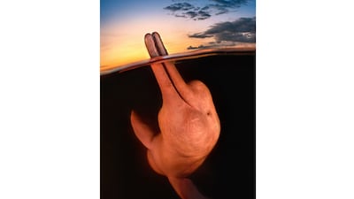 Kat Zhou from the US won Underwater Photographer of the Year 2023 for this picture of a pink river dolphin in the Amazon. Photo: UPY2023 / Kat Zhou