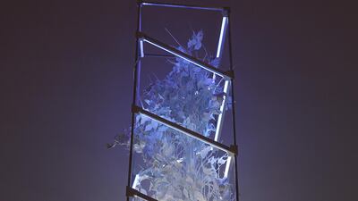 James Clar's 'Render (Tree)', 2016. Light Upon Light, Noor Riyadh 2021