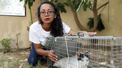 Naz Findley of Animal Welfare Abu Dhabi are hoping to get more businesses on board to sign up to their TNR programme to help control the numbers of stray cats