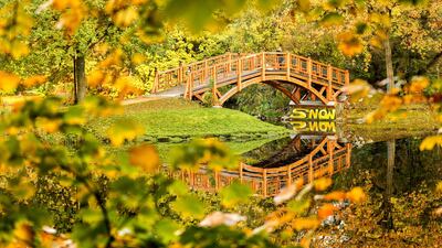 A small bridge and colourful trees are reflected in the water on a sunny day in the Johann Park in Leipzig, Germany. Jan Woitas/ dpa via AP