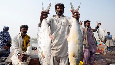 Pakistan fishermen pose for a photo with their catch, in Karachi Pakistan. AP