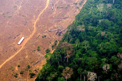 Meat production contributes to mass deforestation in the Amazon rainforest, which is linked to climate change. Photo: Douglas Magno / AFP