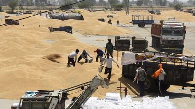 Labourers unload wheat grain from a trailer at a wholesale grain market on the outskirts of Amritsar. India is looking to help plug the gap in global wheat supply. AFP