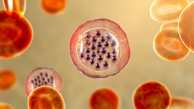 The mutation, called G6PD, is most prevalently observed in the UAE, the study revealed. Getty Images