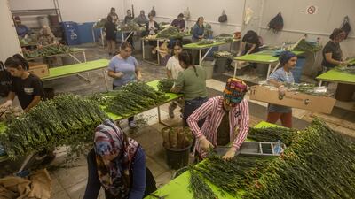 Demand for carnations skyrocketed 90 per cent almost immediately after the announcement of Queen Elizabeth's death. Getty