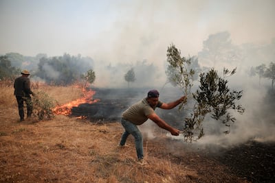 Workers use olive branches to extinguish flames during a wildfire in Greece's Megara valley. Reuters