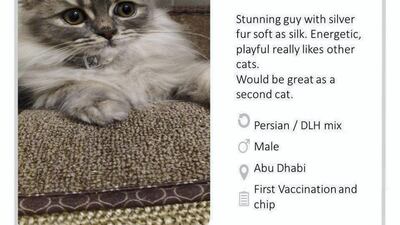 Courtesy Rescue of Abu Dhabi