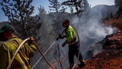 Firefighters try to extinguish a wildfire west of Jerusalem on August 17. Getty