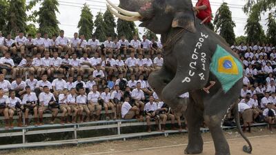 A Thai mahout guides his elephant to entertain schoolchildren during the break at a football match between men and elephants to celebrate the 2014 Fifa World Cup Brazil organised by Ayutthaya Elephant Camp in Ayutthaya province, central Thailand. Apichart Weerawong / AP