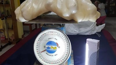 The pearl has been put on display at the city hall of Puerto Princesa and is awaiting to be certified as the biggest in the world. EPA