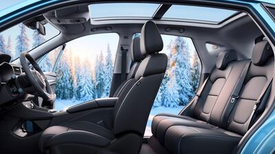 Looks comfy in there.