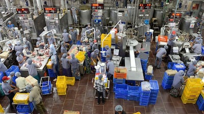 Factory workers are pictured on their production lines at the Havmor Ice Cream plant at Naroda near Ahmedabad in India. Industry estimates project India's ice cream industry to grow to 70 billion rupees by 2018 from 45bn rupees in 2013. Sam Panthaky / AFP