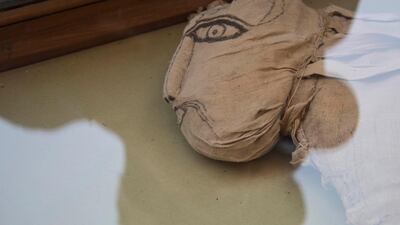 The recovery of a mummified lion is rare. EPA