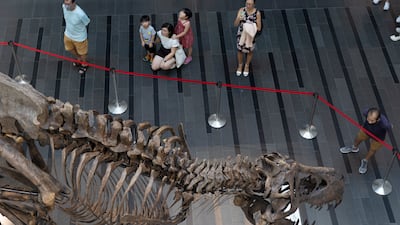 Visitors look at the skeleton of a Tyrannosaurus Rex named 'Shen the T. Rex' during a preview by auction house Christie's at the Victoria Theatre and Concert Hall in Singapore, 28 October 2022. The dinosaur fossil will be exhibited at the Victoria Theatre & Concert Hall from 28 to 30 October before being auctioned at the Hong Kong Convention and Exhibition Centre on 30 November. The 1,400kg T-Rex, measuring 12. 2 meters long, 4. 6 meters high and 2. 1 meters wide, will be the first full Tyrannosaurus Rex fossil offered at an auction in Asia. EPA / HOW HWEE YOUNG