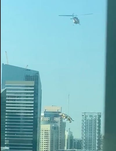 A tiger sculpture was filmed flying through Dubai Marina by resident, Ross Byrne. Courtesy Ross Byrne