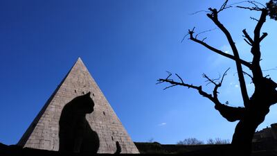 A cat is silhouetted as he sits in front of the Pyramid of Cestius, a tomb in Rome built in around 18-12 BC. AP