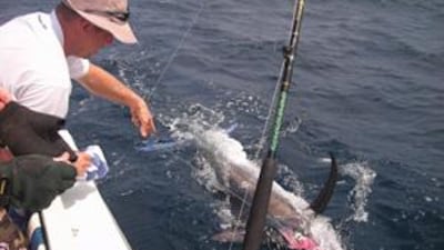 Sport fishing can boost tourism, youth development in sport besides benefiting the local society, according to the organisers.