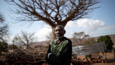 Baobab fruits harvester Aaron Muchengeni (58) poses in front of a baobab tree in Muswodi Dipeni AFP
