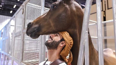 Yousif Al Hammedi, a trainer for the Emirates Arabian Horse Association, takes part in Adihex with his trusty steed, Rabdan. All photos: Victor Besa / The National