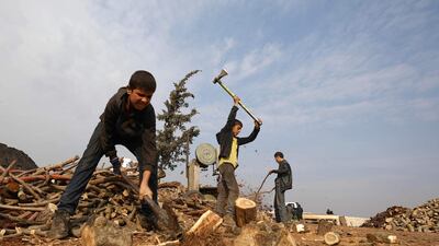 Displaced Syrians cut wood logs out of tree trunks, destined to be sold to compatriots who fled conflict zones, to be used as a less expensive alternative to fuel for heating during the winter season, on the outskirts of the northwester city of Idlib. AFP