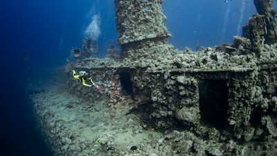 Osama Ali Abusunnon was the winner of the Underwater category