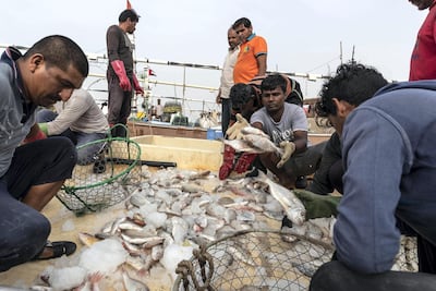 Crew members earn about Dh1,000 per month, for some about 25 per cent of what they earned 10 years ago. Antonie Robertson / The National