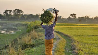 Traditional lungis are usually worn in the subcontinent for practical reasons, not for fashion / Getty
