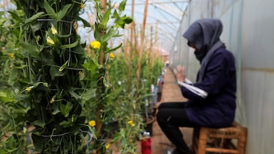 As well as growing fields, the facilities include greenhouses and nurseries.