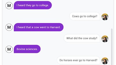 Google's new chatbot Meena is smart enough to tell jokes. Courtesy Google