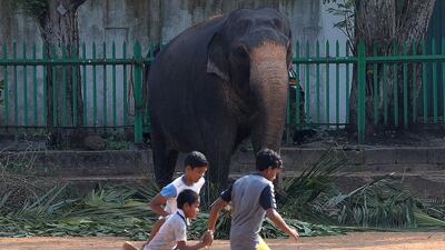 A large spectator watches Sri Lankan boys play football in Colombo. Ishara S Kodikara / AFP Photo