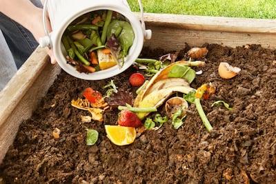Fruit and vegetable scraps, eggshells, coffee granules, natural tea bags, nut shells, spices, bread and old cereal can be composted. iStockphoto