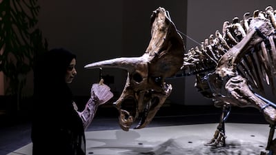 The March of Triceratops display at the Natural History Museum Abu Dhabi. Victor Besa / The National