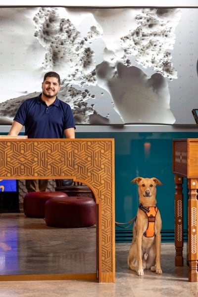 Sawyer the rescue dog is Hotel Indigo Dubai Downtown's most charming resident. Photo: Hotel Indigo Dubai Downtown