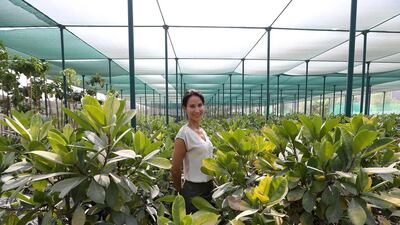 Garden designer Kamelia bin Zaal. (Pawan Singh / The National )