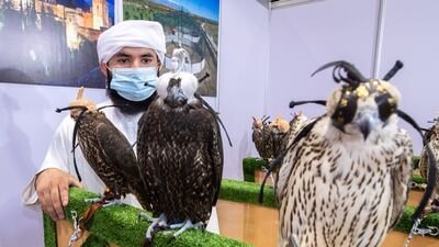 Al Andalus Falcons stall at Adihex. Victor Besa / The National