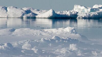 A polar bear walks along the ice flow in Baffin Bay above the Arctic circle. (Jonathan Hayward/The Canadian Press via AP)