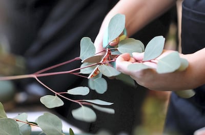 Pawan Singh / The National