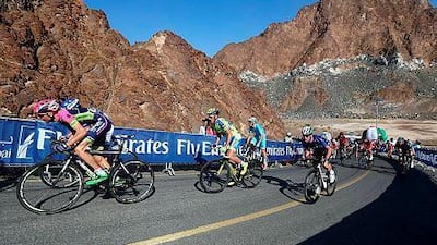 Cyclists ride during the third stage of Dubai Tour to Hatta Dam on February 6, 2015. Teams from more than seven countries are taking place in the 2015 cycling tour which will cover 660 kilometres in four days. Marwan Naamani / AFP