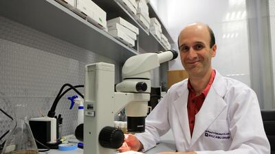 Prof Justin Blau researches behavioural patterns in fruit flies at his New York University Abu Dhabi lab. His work could help to better understand the control of daily rhythms in people. Ravindranath K / The National