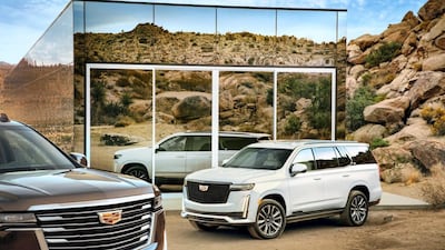 At rest among the rocks and sand.