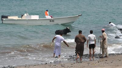 The police, aided by residents, dragged the bull out of the water using ropes.
