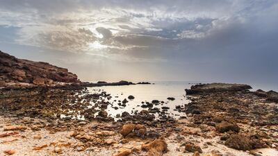 Sir Bo Na’air Protected Area in Sharjah is one of the beauty spots being celebrated in a new ecotourism drive. Courtesy of Shurooq