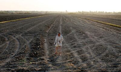An Iraqi man stands on a dry field in an area affected by drought in the Mishkhab region, central Iraq, some twenty-five kilometres from Najaf. AFP