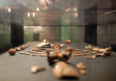 The bones of ‘Lucy’ – a hominid ancestor of all humans – on display in the National Museum. AFP