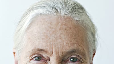 Jane Goodall at the Jane Goodall Institute in Silver Spring, Maryland, in February 2003. Getty Images