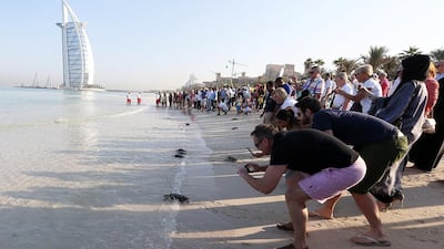 Members of the crowd photograph the released turtles as they make their way into the sea. Pawan Singh / The National