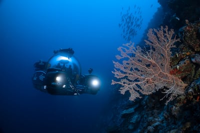 Deep-sea vessels will explore the ocean alongside divers and robots. Photo: Ocean Census