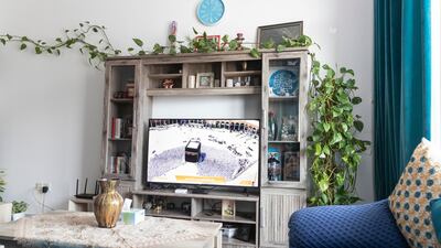 The living room is full of plants, with a carefully chosen colour scheme